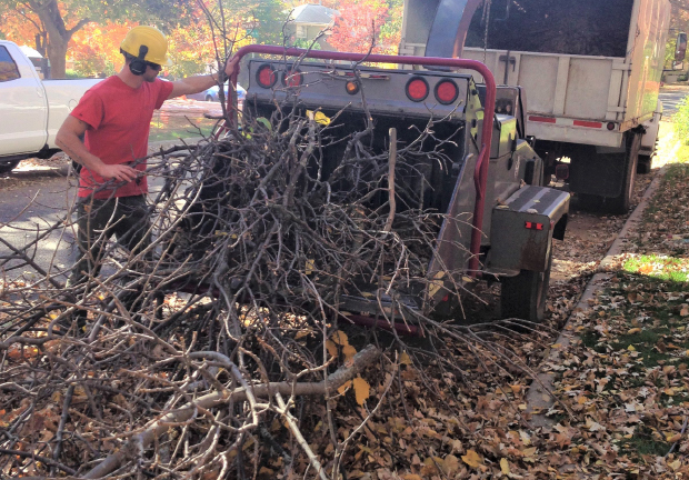 Chipping downed tree branches