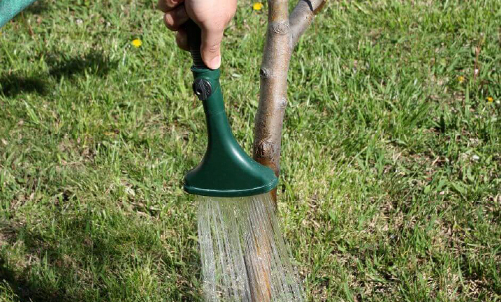 Watering a Tree