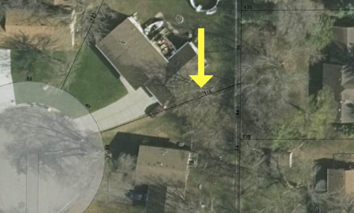 Trees and property line