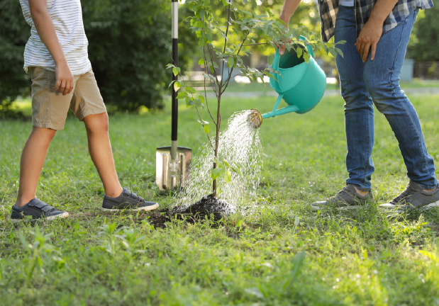 Watering a tree