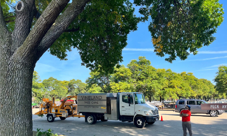 Saluting Branched 2023