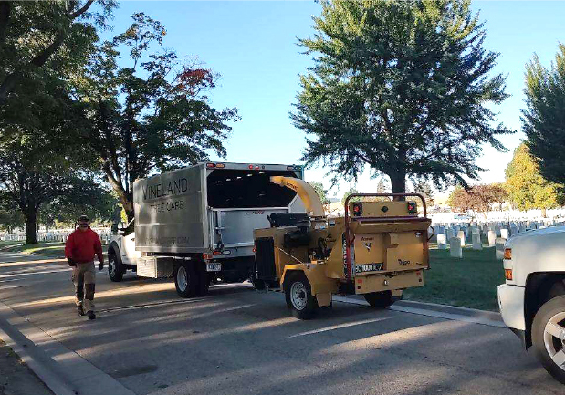 Vineland Tree Care Equipment