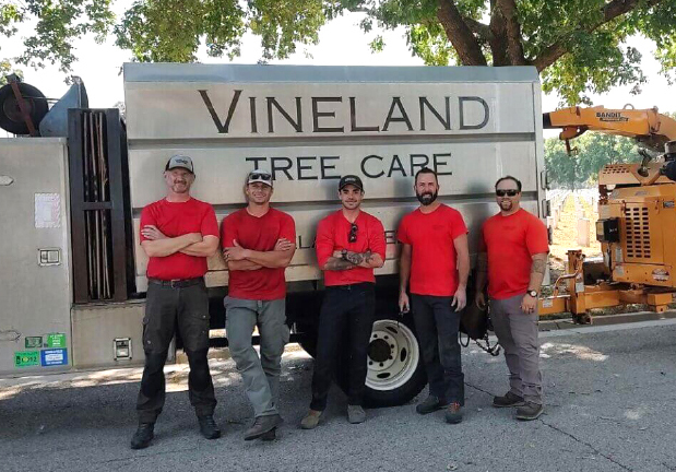 Vineland Tree Care truck and workers