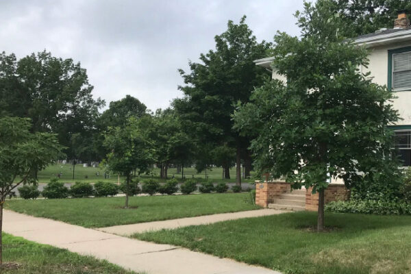 The difference the right conditions can make in growth rate. Both trees were the same size when planted.