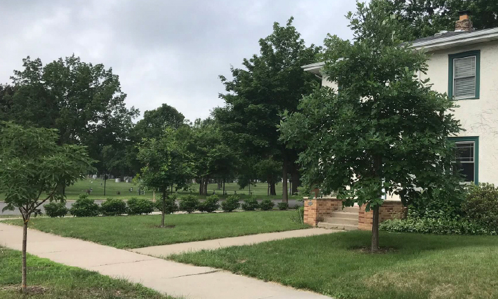 The difference the right conditions can make in growth rate. Both trees were the same size when planted.