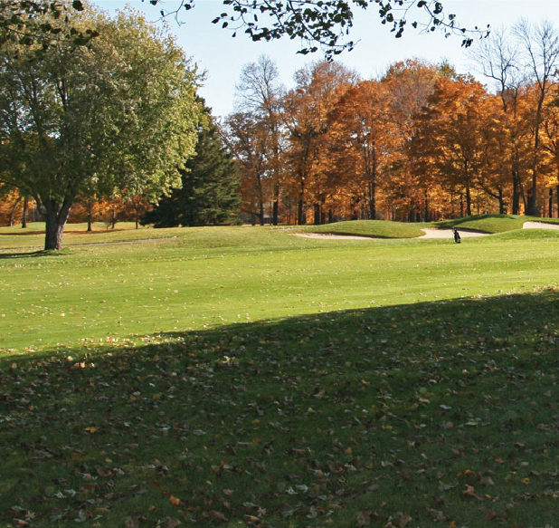 Trees on a Golf Course