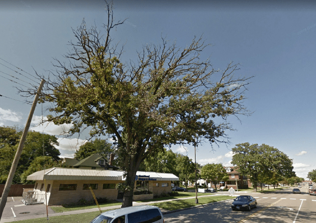 Boulevard bur oak