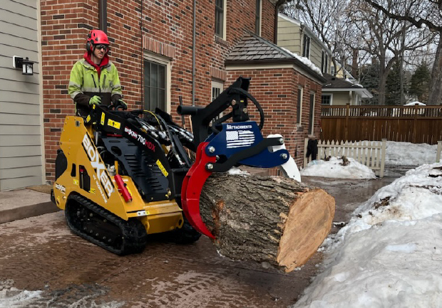 Machine removing tree