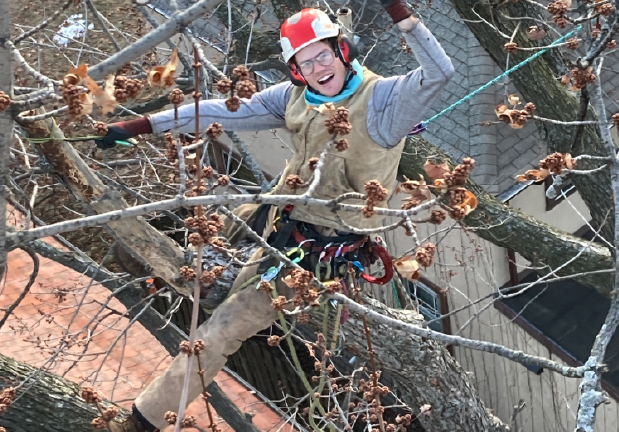 Tree climber
