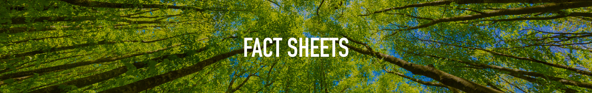 Fact Sheets