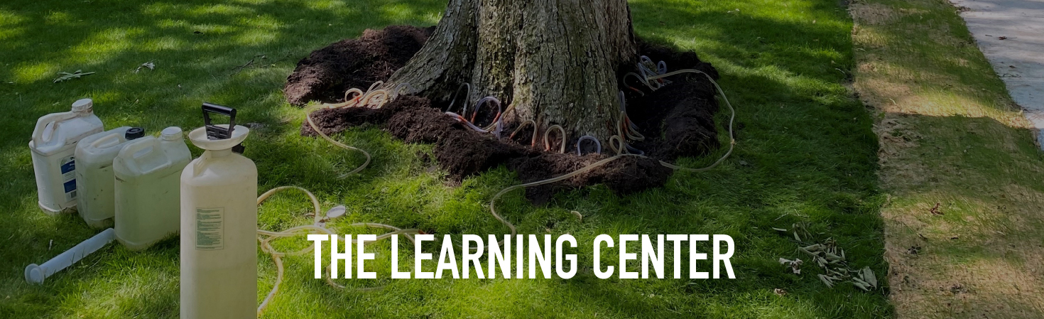 The Learning Center