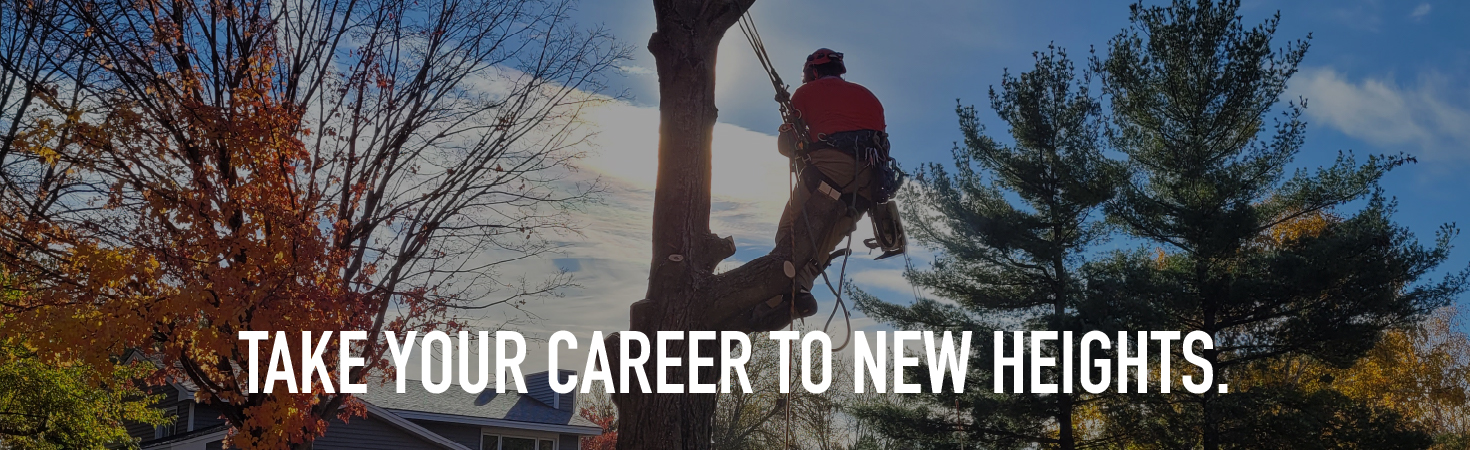 Take Your Career to New Heights.