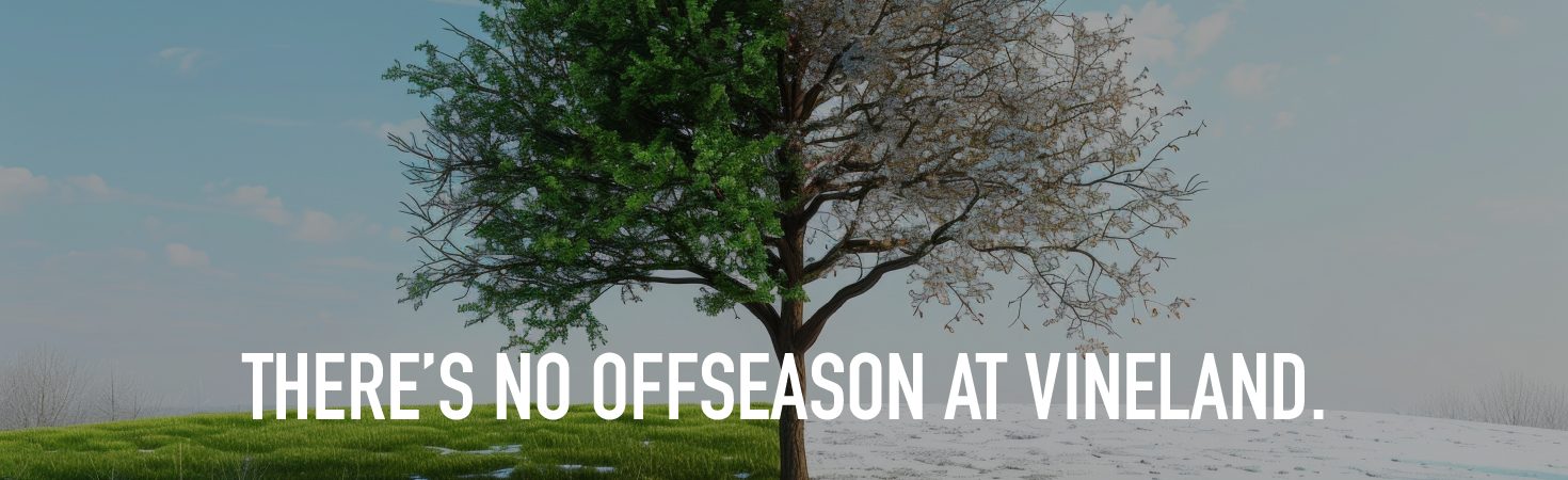 There's no offseason for Vineland.