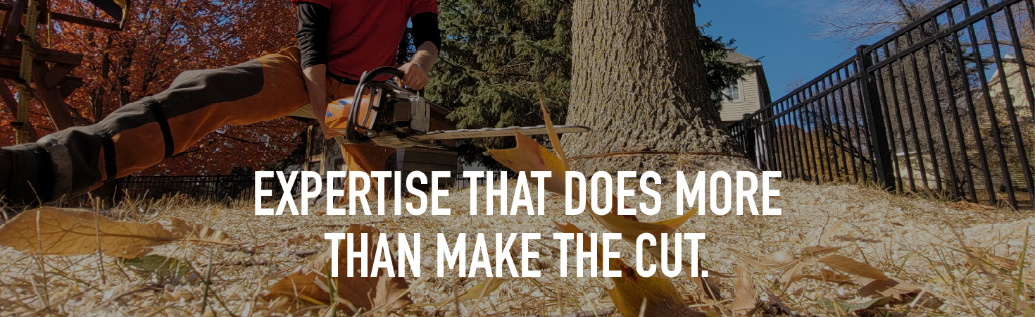 Expertise That Does More Than Make the Cut.