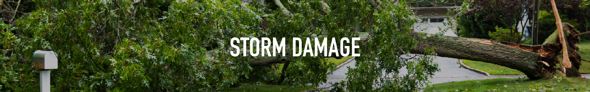 Storm Damage