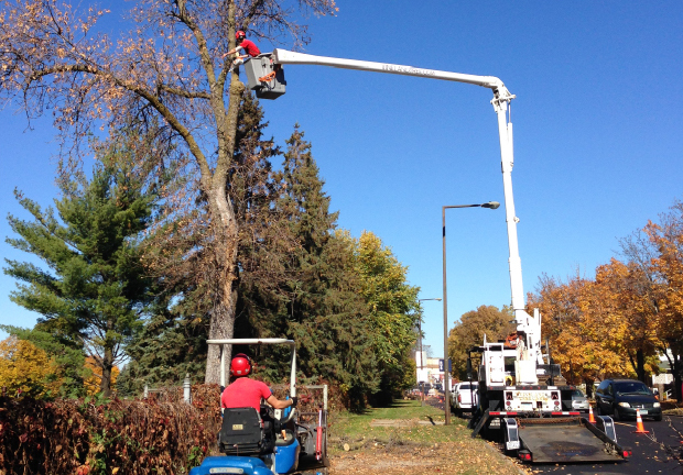 Crane Removal