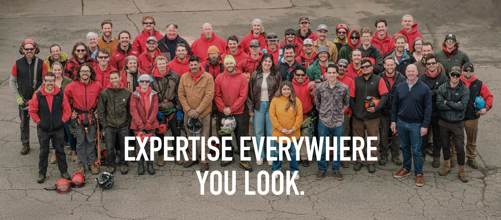 Expertise Everywhere You Look.