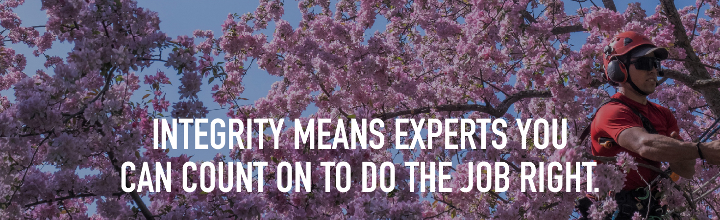 Integrity means experts you can count on to do the job right