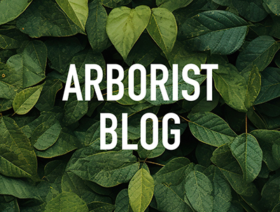 Arborist Blog