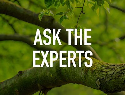 Ask the Experts
